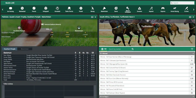 Betwinner 1x Bet live betting
