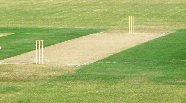Cricket betting tips cricket pitch