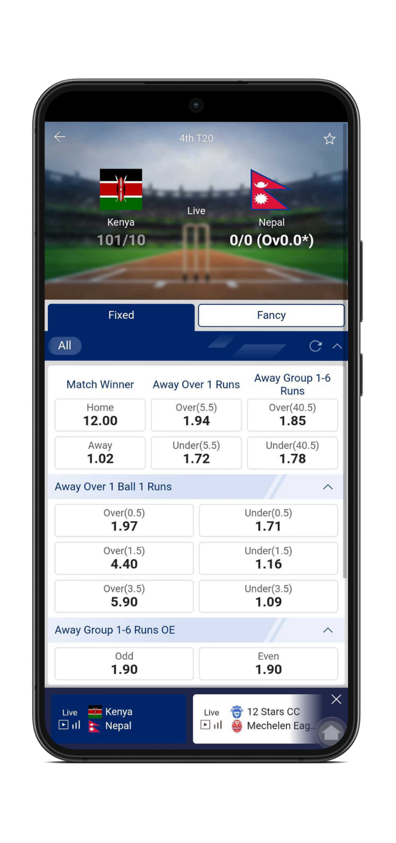 Crickex Betting Options