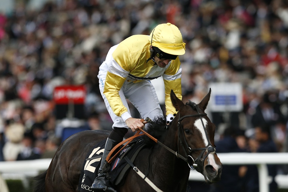 Best Horse Racing Gambling Sites Best Horse Racing Gambling Sites